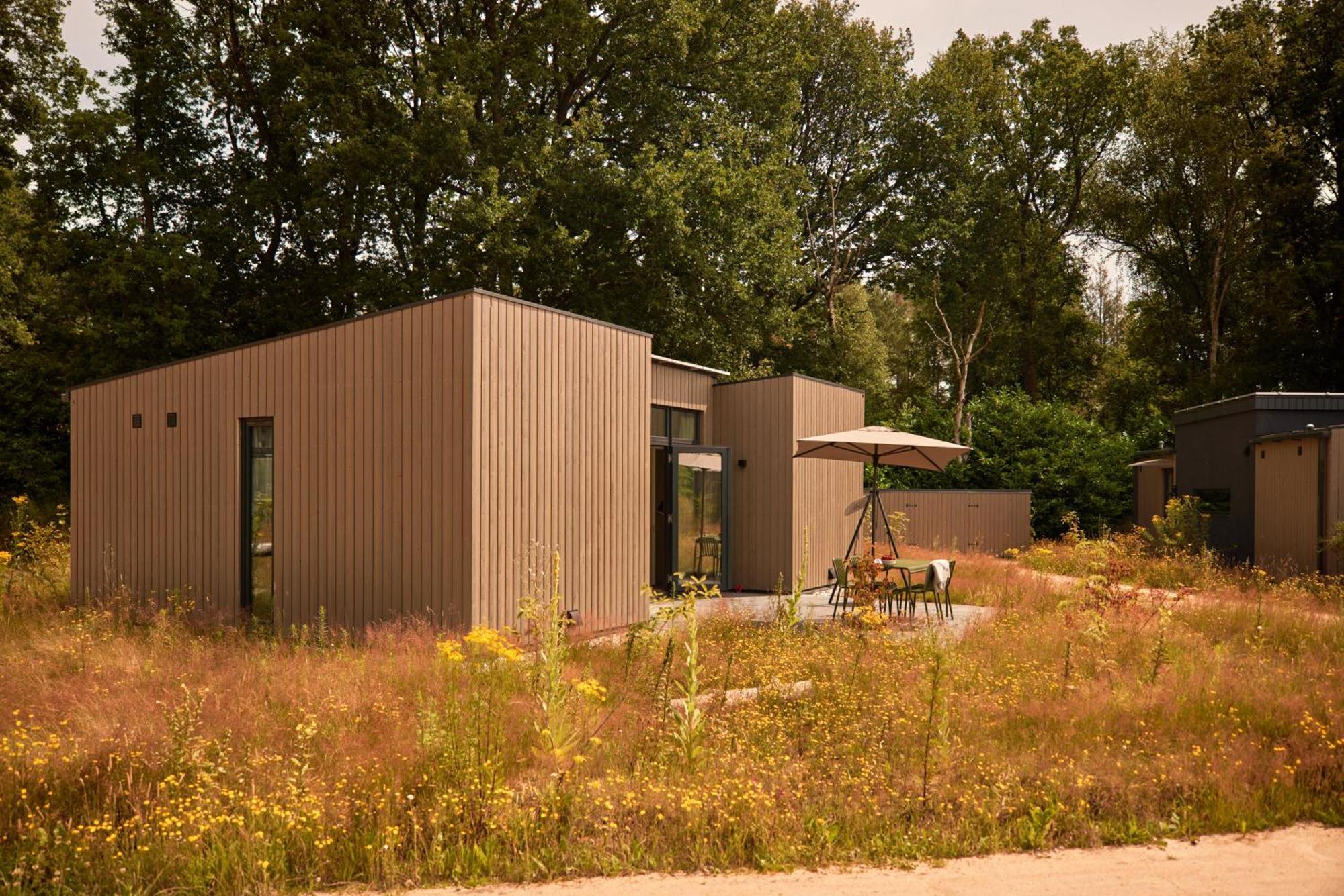 Dutchen Zeegser Duinen Suitelodges Kültér fotó